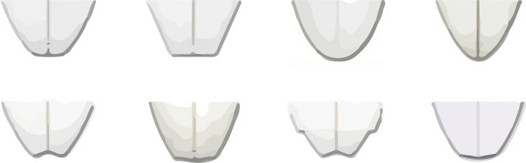 סוגי זנבות של גלשני גלים