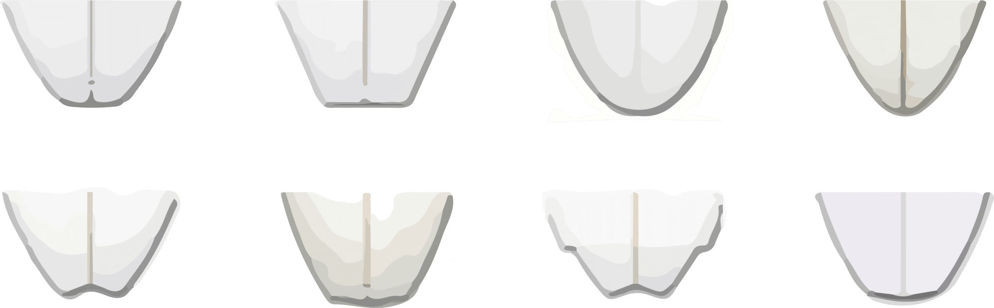 סוגי זנבות של גלשני גלים