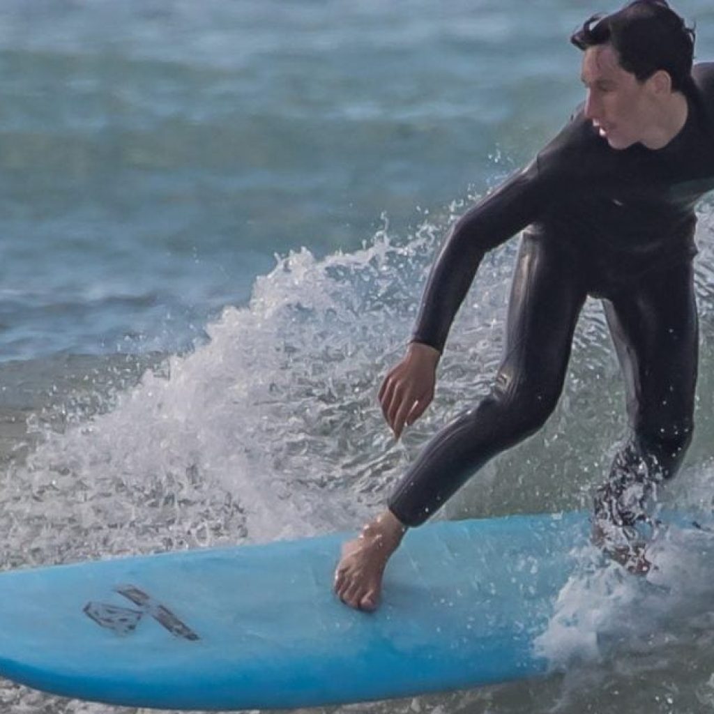 יהונתן פלגי